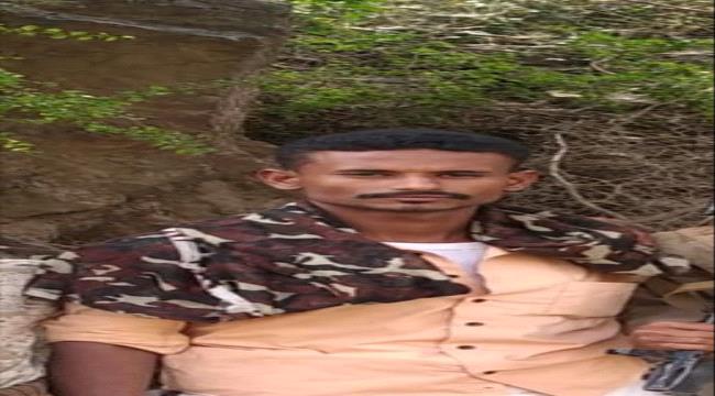 ضرغام الجنوب 
