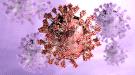 اكتشاف آلية هروب فيروس SARS-CoV-2 من جهاز المناعة.