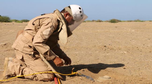 
                     نزع 720 لغما حوثيا خلال أسبوع في عدة محافظات