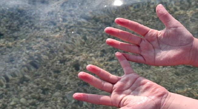 لماذا تتجعد أصابعنا في الماء؟.. تفسير طبي ...