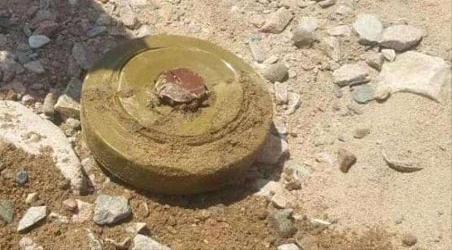 إصابة مواطن ونجله بلغم حوثي في الحديدة ...