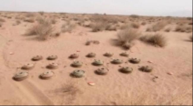 إصابة امرأة بجروح متفرقة جراء انفجار لغم حوثي في تعز ...