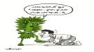 حين تختنق الكرامة بنبتة.