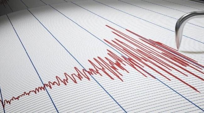 هل بدأ النشاط الزلزالي في مصر؟.. البحوث العلمية تعلق على 4 هزات طالت ا ...