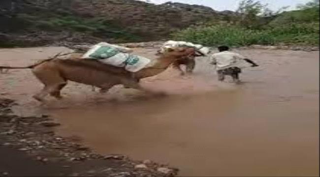 جهود مكثفة لإعادة افتتاح سوق السبت التاريخي في الأزارق لتخفيف من معانا ...