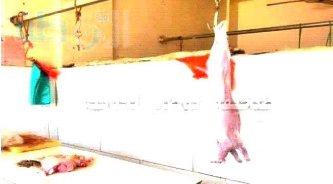 نشرة أسعار اللحوم والمواشي بالعاصمة عدن اليوم الأحد ...