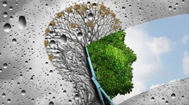 أبرزها الثوم.. 5 أطعمة هي مفاتيح تجديد الخلايا وإبطاء الشيخوخة ...