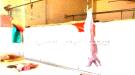 نشرة أسعار اللحوم والمواشي بالعاصمة عدن اليوم الأحد.