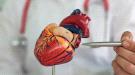 جلطات القلب والموت المفاجئ تقتحم حياة الشباب في العشرين.