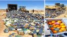إتلاف 2864 كرتون برتقال في منفذ شحن بالمهرة.