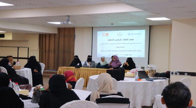 الجهاز المركزي للإحصاء يقيم ورشة تدريبية في مسح تعرفة الكهرباء 