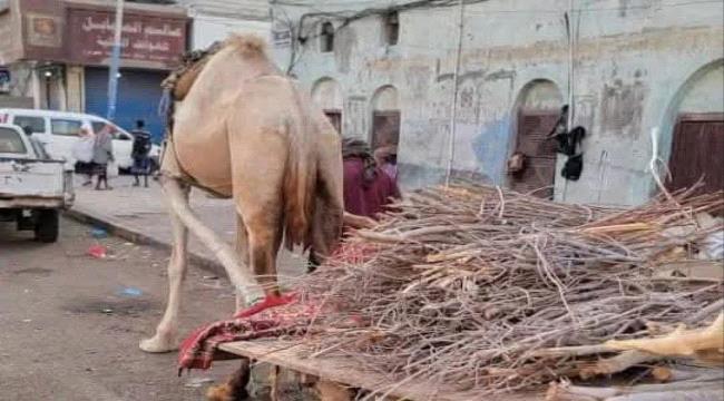 عودة نشاط بائعي الحطب في العاصمة عدن بسبب أزمة الغاز المنزلي