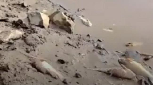 يفر هرباً من الماء إلى اليابسة... قصة 