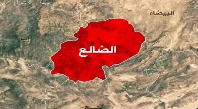 قصف حوثي يستهدف منازل المواطنين في الضالع