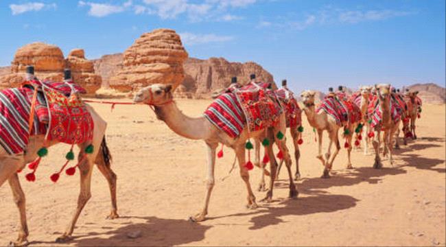 السعودية  تدشن 