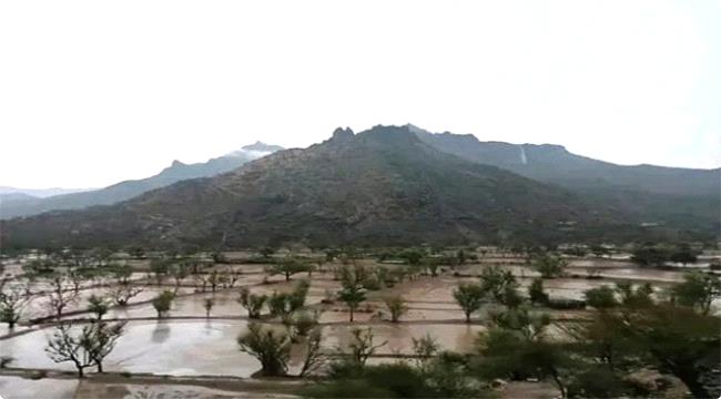 أمطار غزيرة على الضالع وعاصفة رملية تضرب لحج