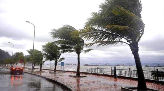 طقس مفاجئ خلال الأسبوع الحالي في مصر.. رياح وأمطار رغم ارتفاع الحرارة
